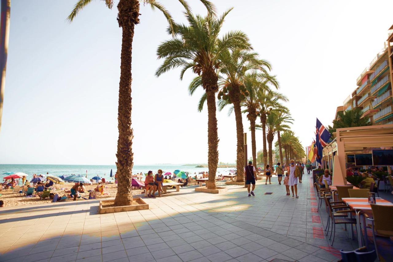 Holiday Studio Jardin Playa Torrevieja Exteriör bild